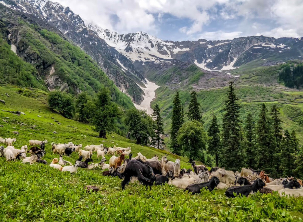 Kalga to Kheerganga